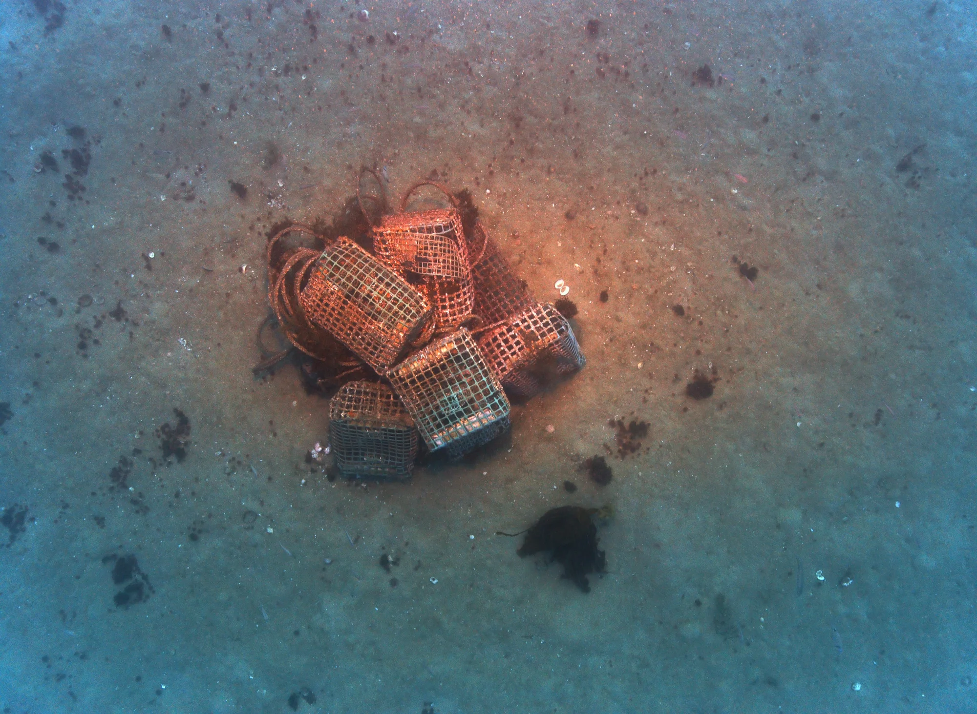 Discarded plastic crates recorded on the seabed during an optical survey