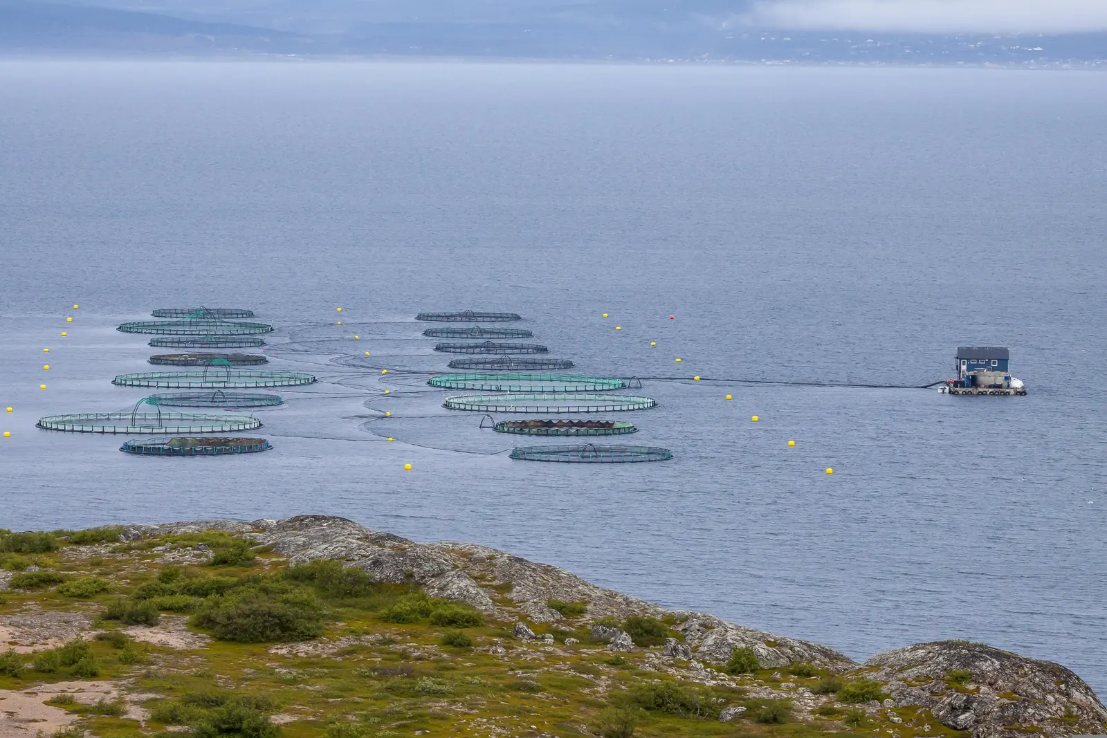 Offshore fish farm pens at sea