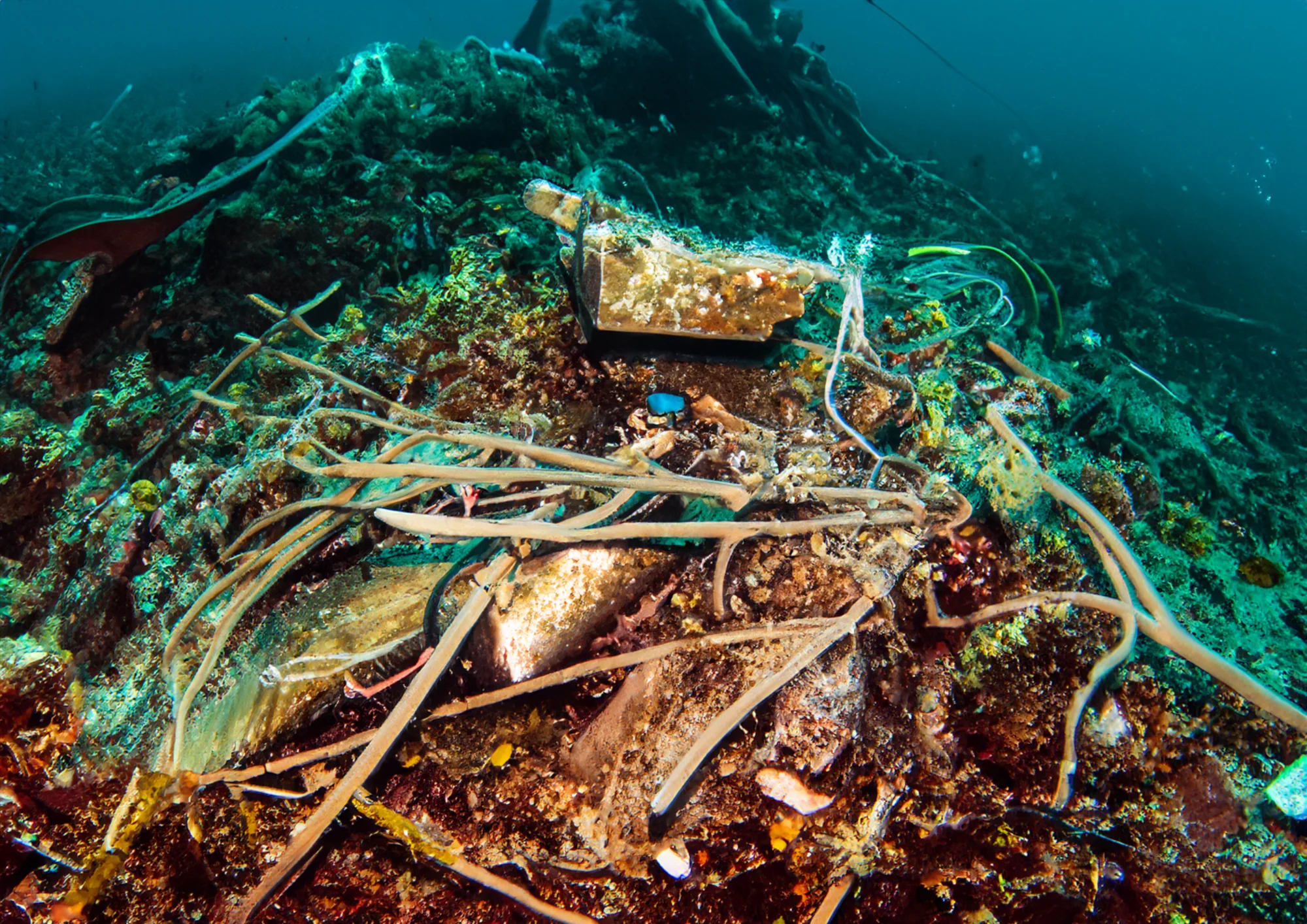 Marine Debris 1