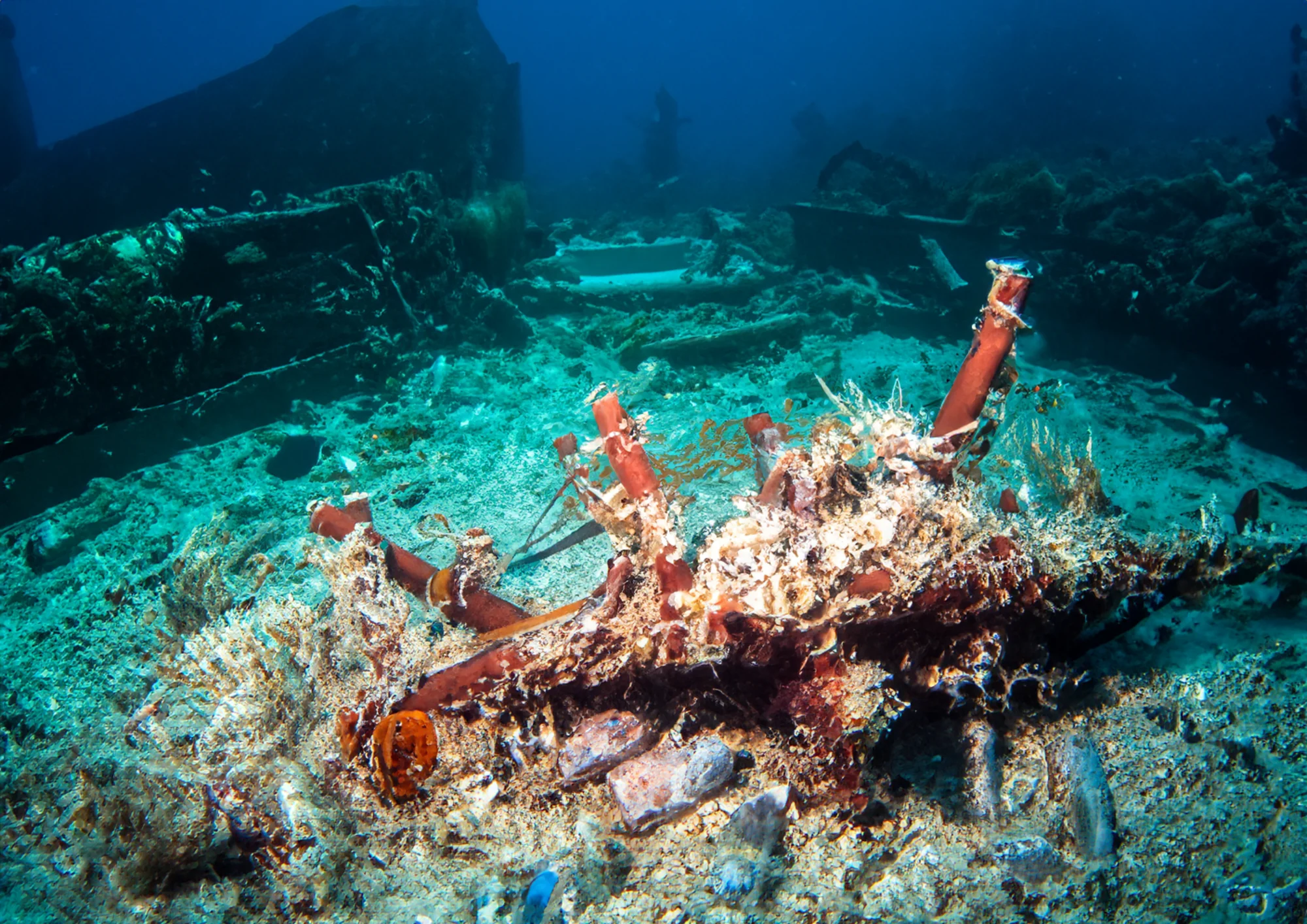 Marine Debris 2
