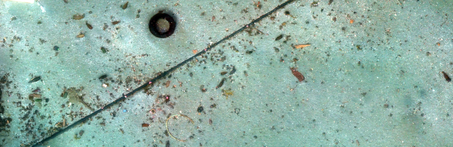 Marine Debris 3