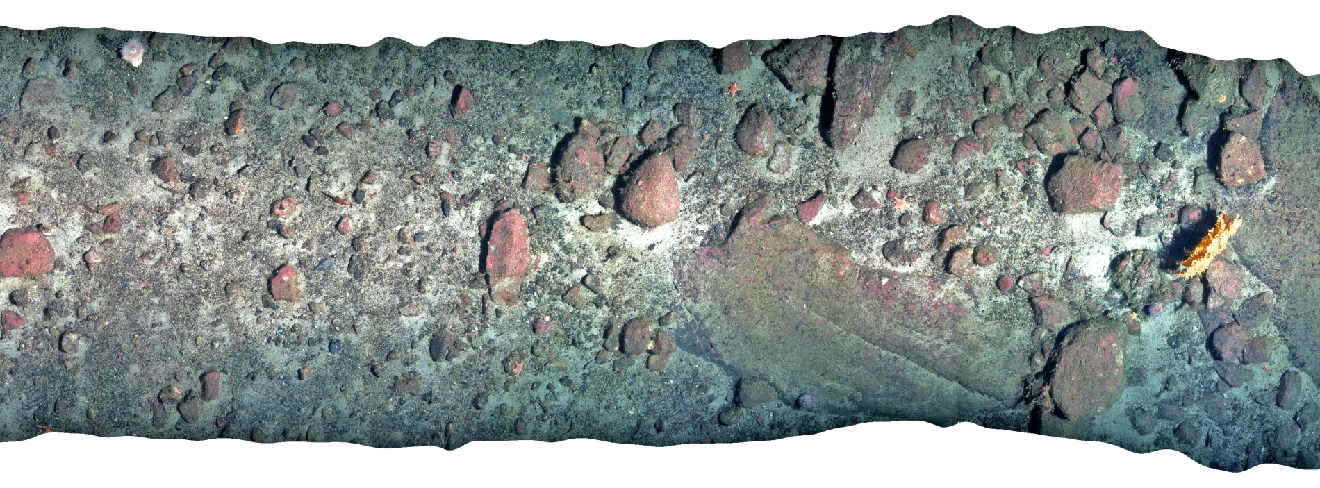 Underwater Camera capture of seabed